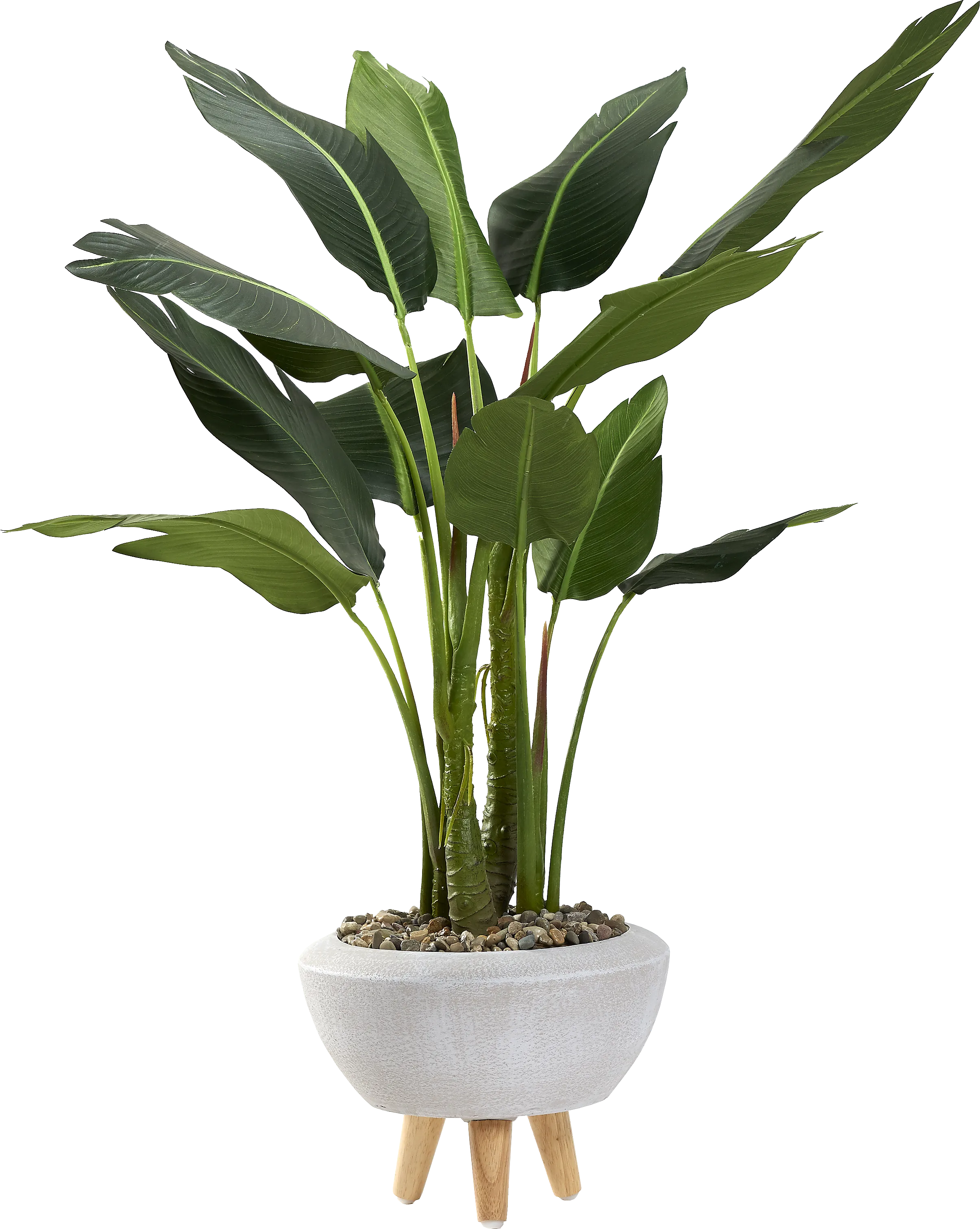 Akeby White Silk Plant - Thumbnail - Image 1