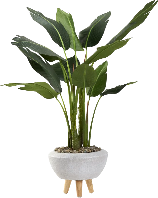 Akeby White Silk Plant