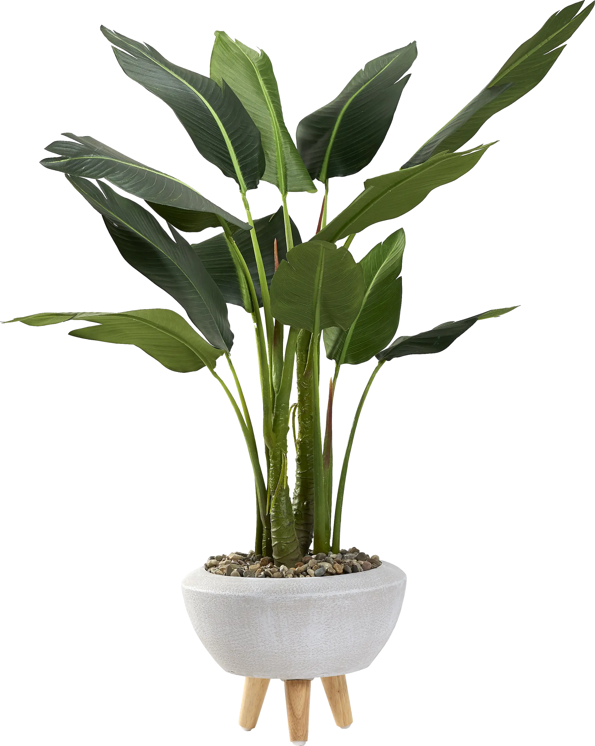 Akeby White Silk Plant