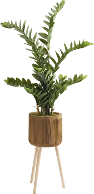 Atteboro Brown Silk Plant