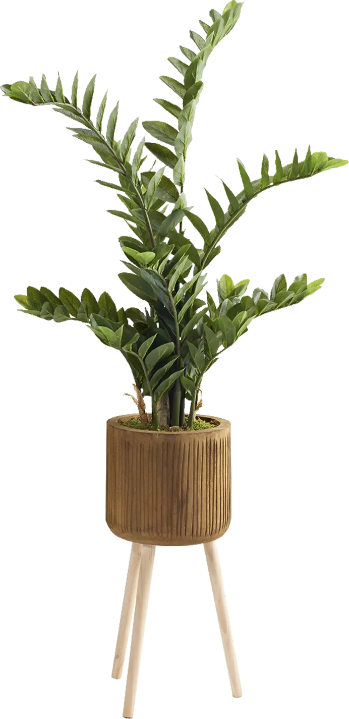 Atteboro Brown Silk Plant - Image 1