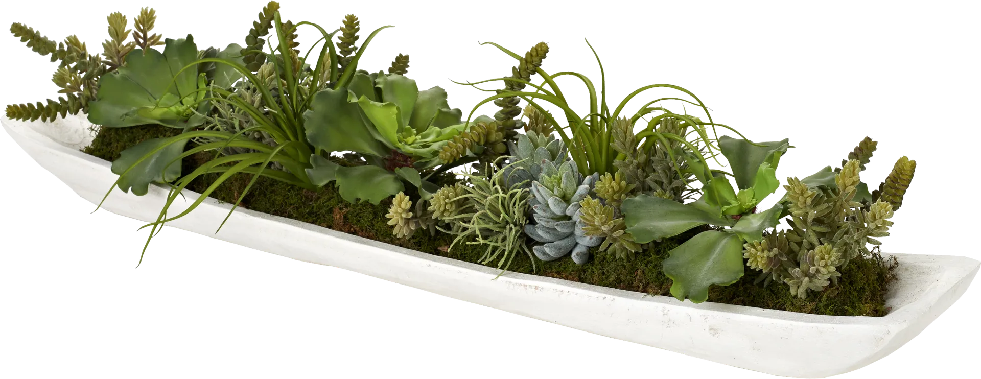 Clogston White Silk Plant - Image 1