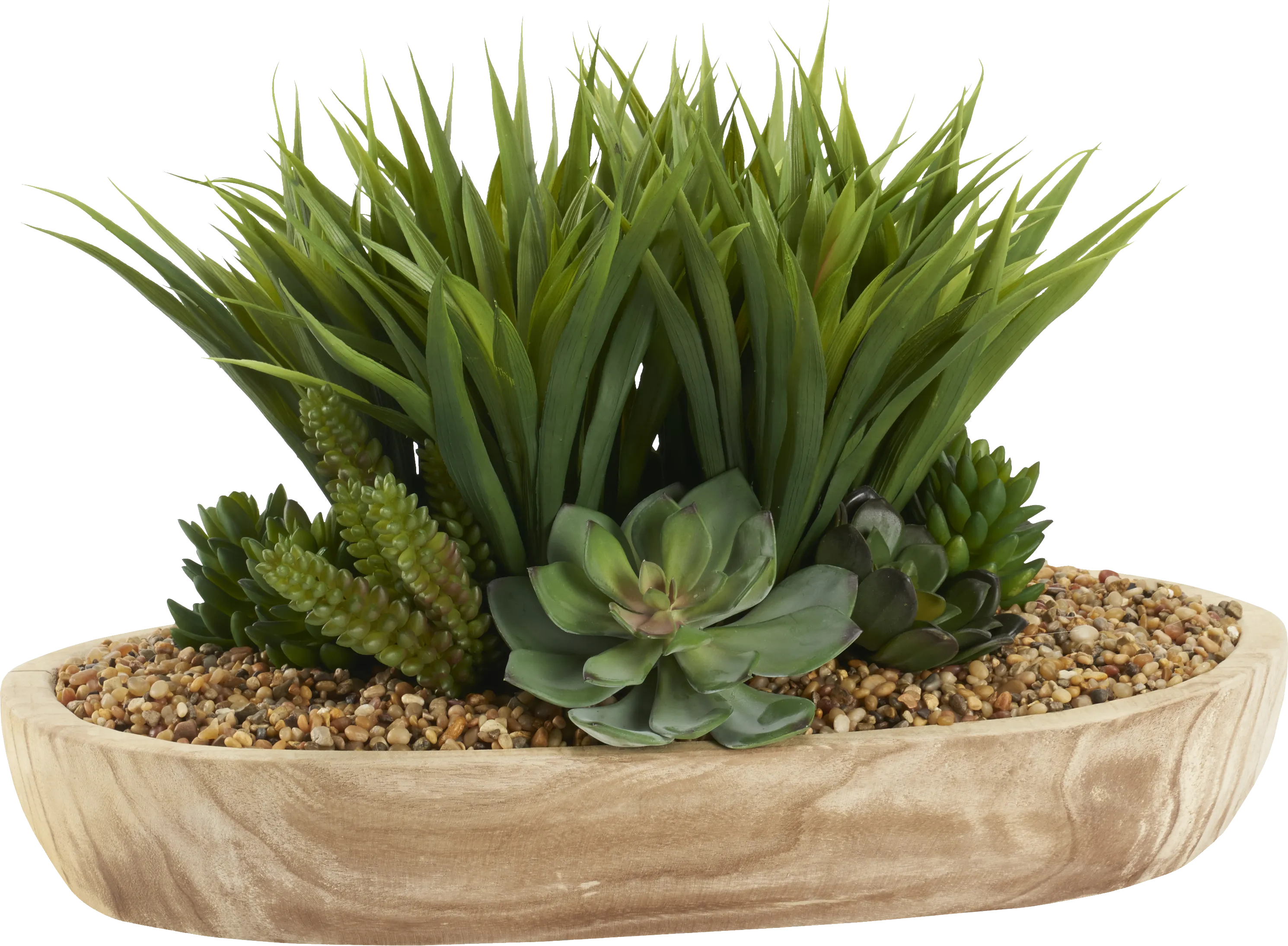 Gisborne Brown Silk Plant - Thumbnail - Image 1