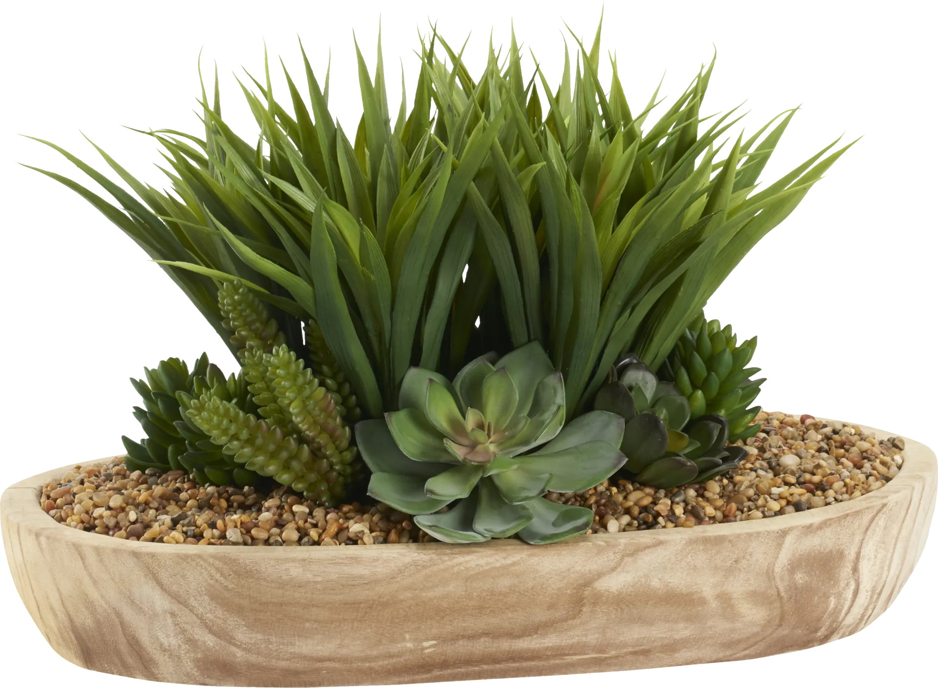 Gisborne Brown Silk Plant - Image 1