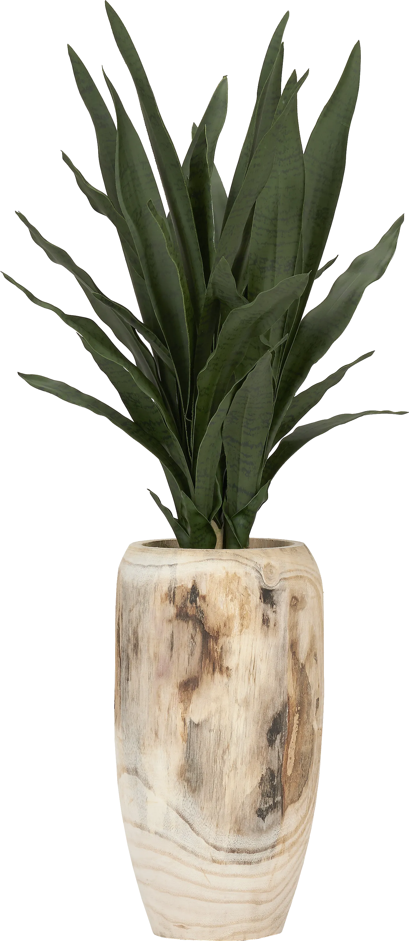 Kirschen Brown Silk Plant - Thumbnail - Image 1