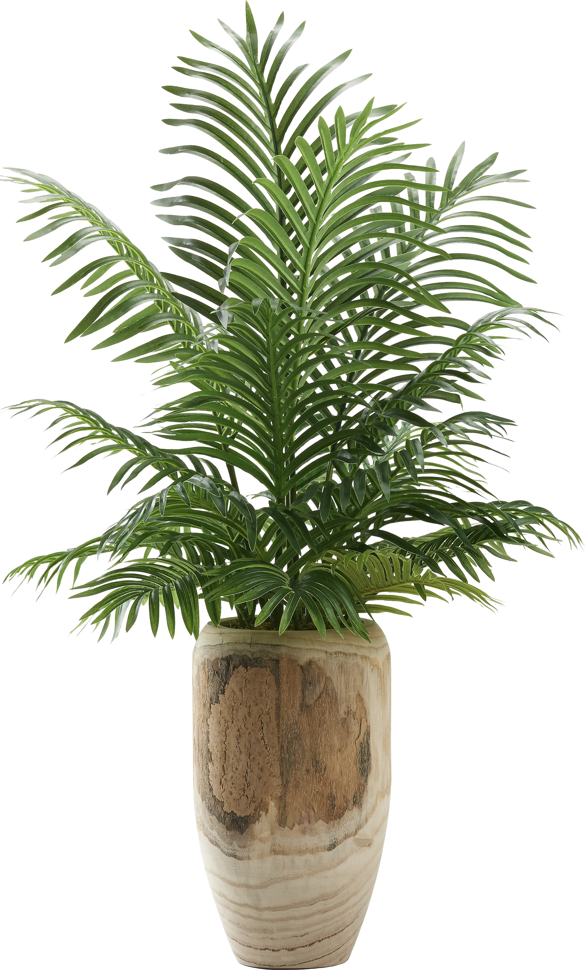 Kounias Brown Silk Plant - Image 1