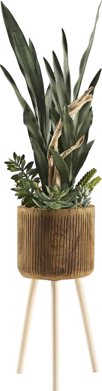 Murguia Brown Silk Plant