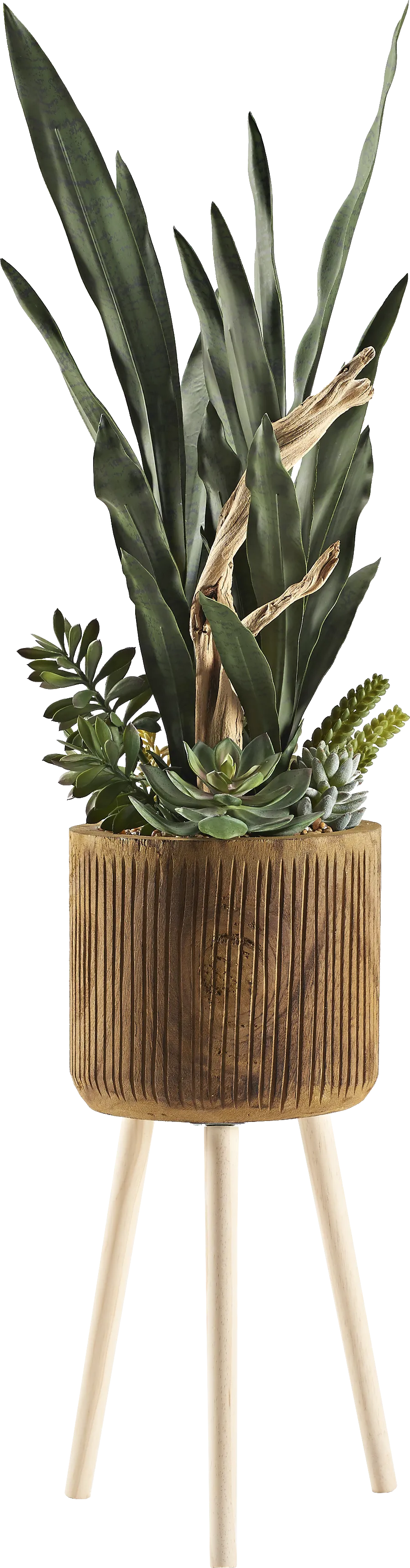 Murguia Brown Silk Plant - Image 1