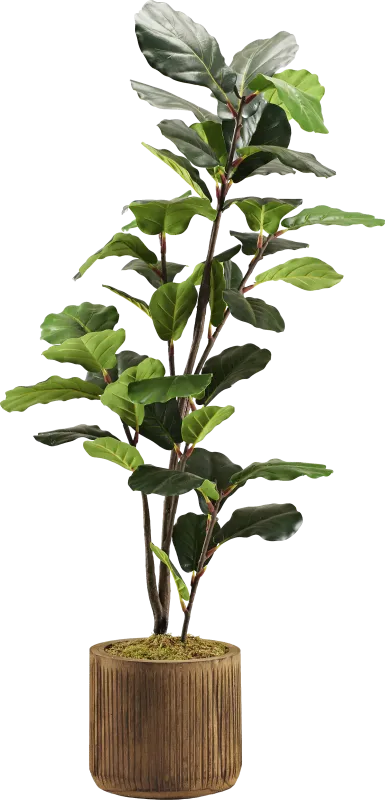 Noarco Brown Tree