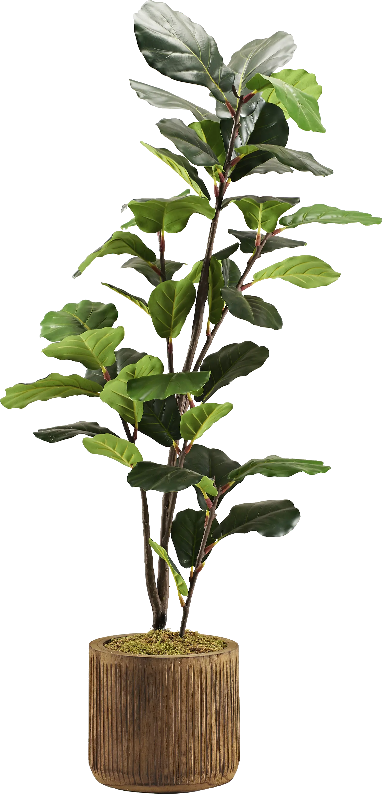 Noarco Brown Tree