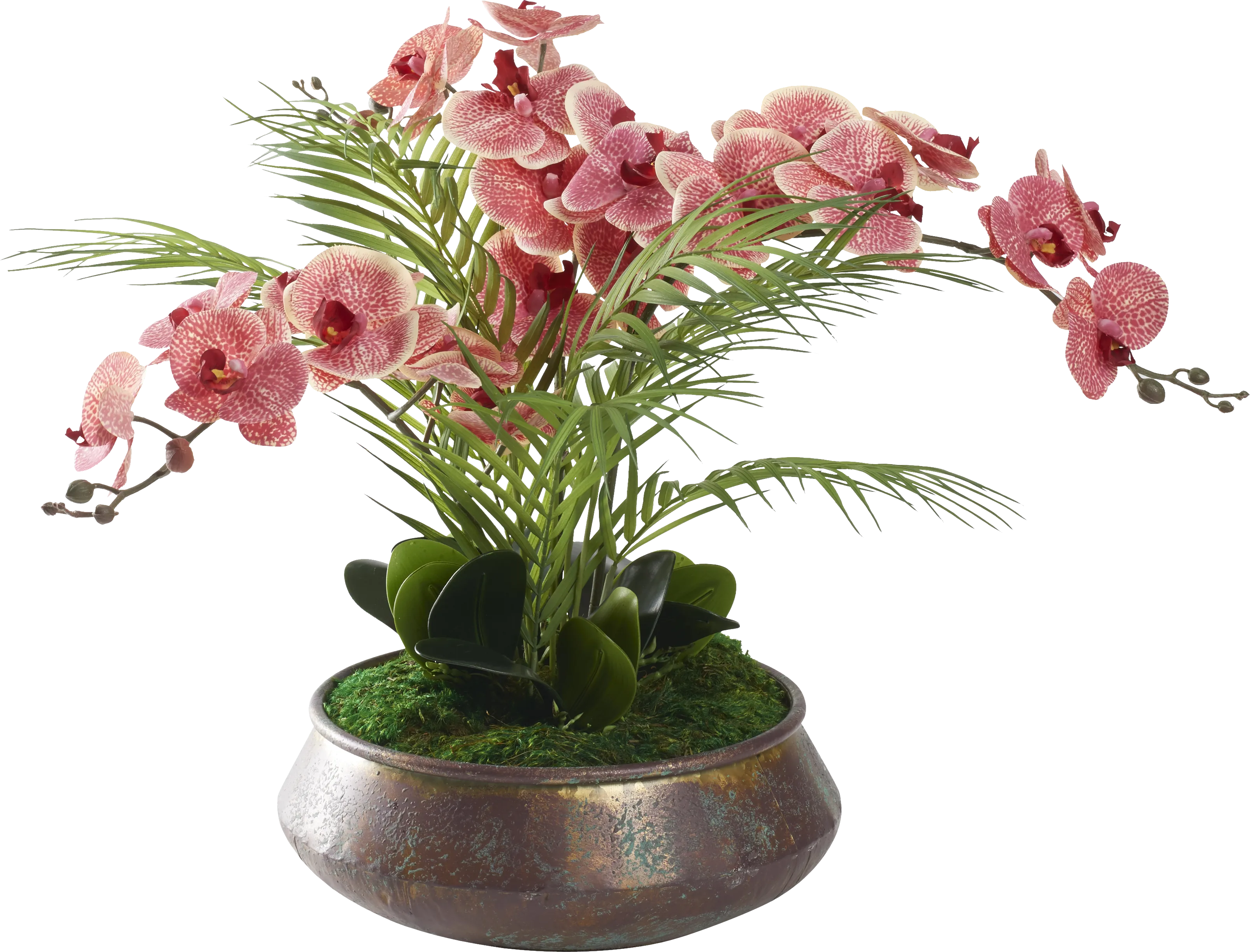 Parducci Copper Plant - Thumbnail - Image 1