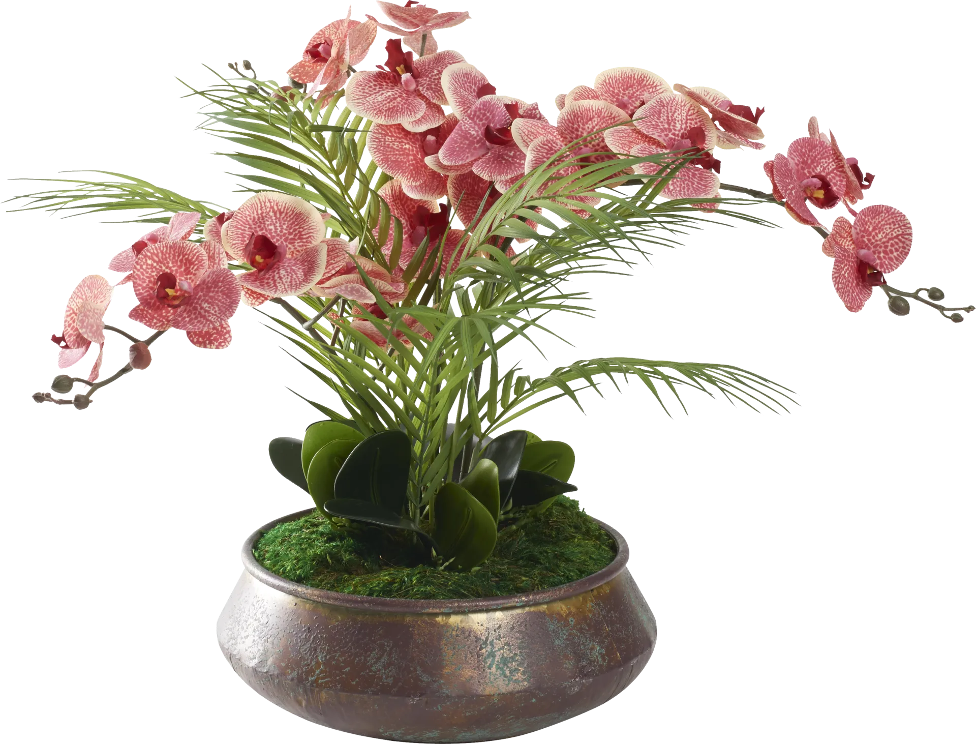 Parducci Copper Plant - Image 1