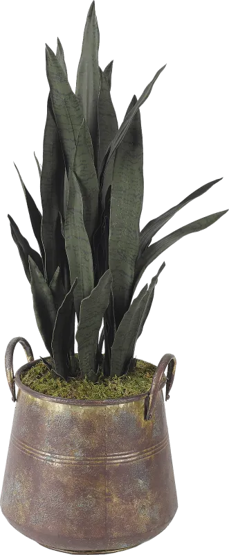 Poust Copper Silk Plant