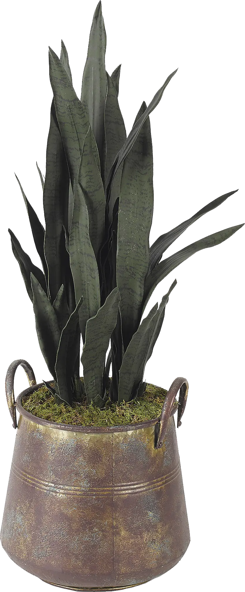 Poust Copper Silk Plant