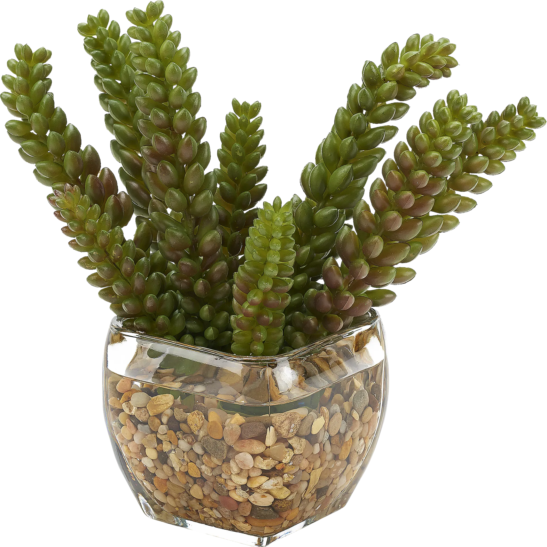 Rettering Glass Silk Plant - Image 1