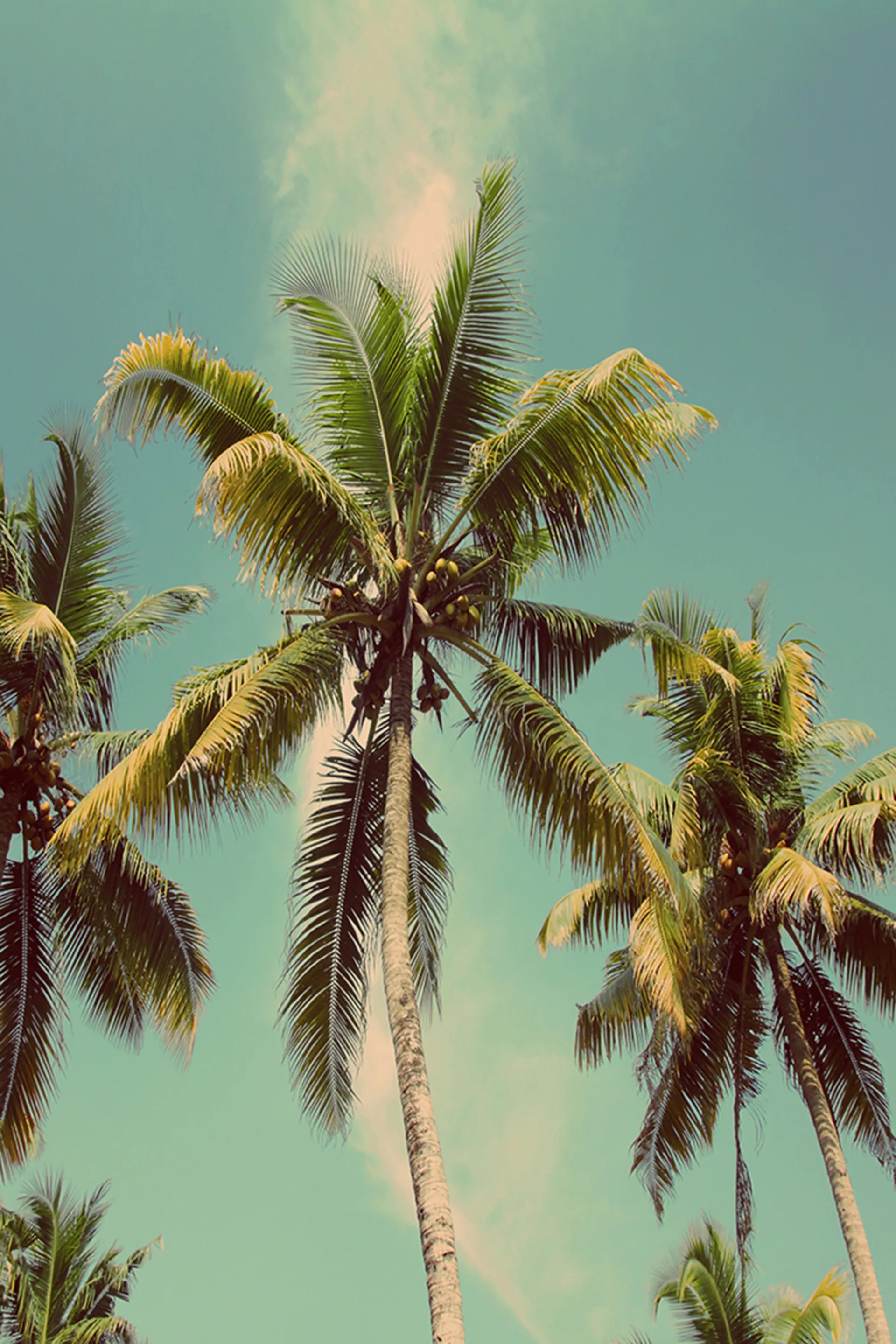 Malbone Teal Artwork - Image 1