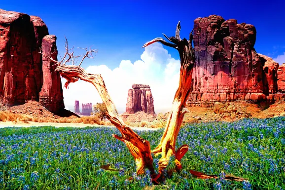 Viewesta Green Artwork