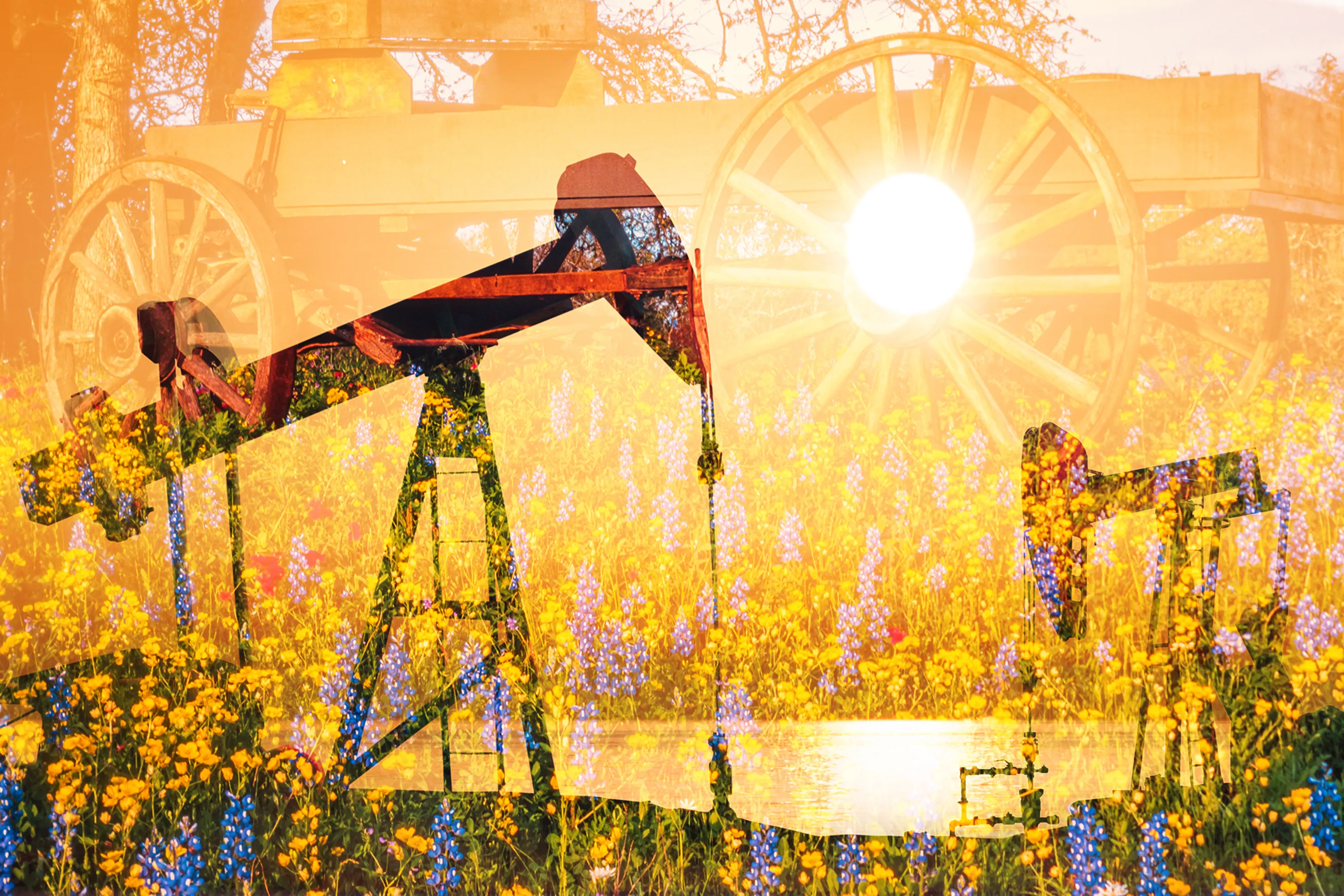 Cowsill II Orange Artwork - Thumbnail - Image 1