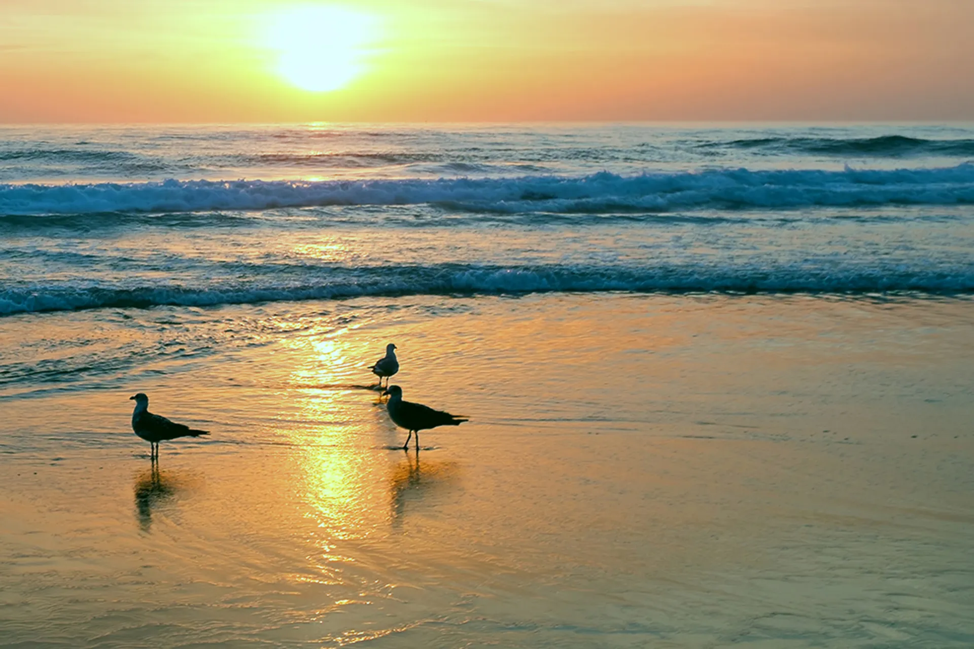 Opper Orange Artwork - Image 1