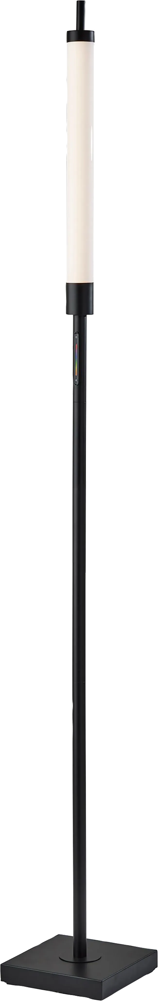 Zenith Loop Black Floor Lamp