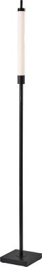 Zenith Loop Black Floor Lamp