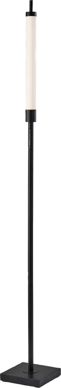 Zenith Loop Black Floor Lamp