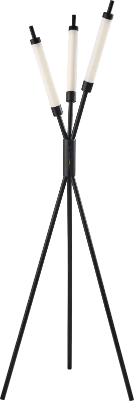 Zenith Loop Black Tree Floor Lamp