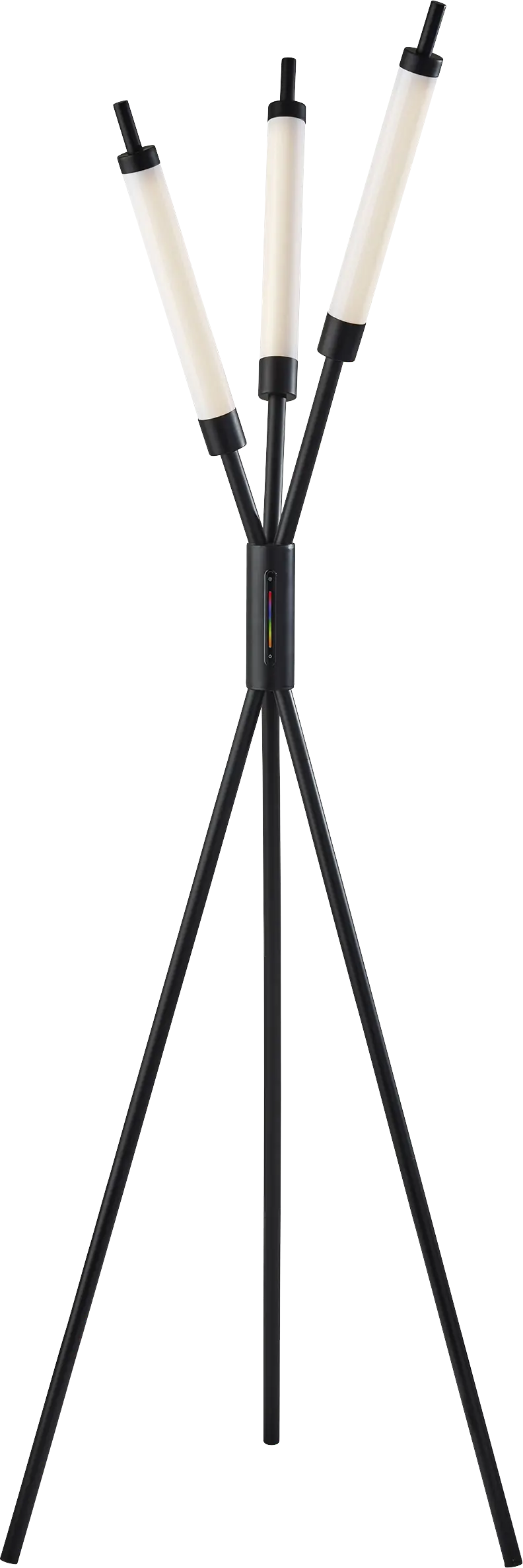 Zenith Loop Black Tree Floor Lamp