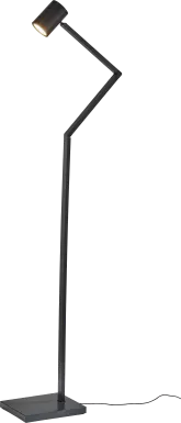 Parrilla Street Bronze Floor Lamp