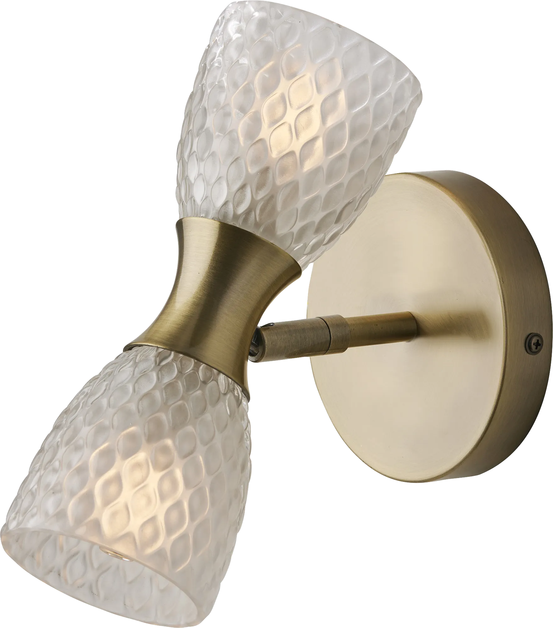 Lanai Oaks Brass Sconce - Image 1