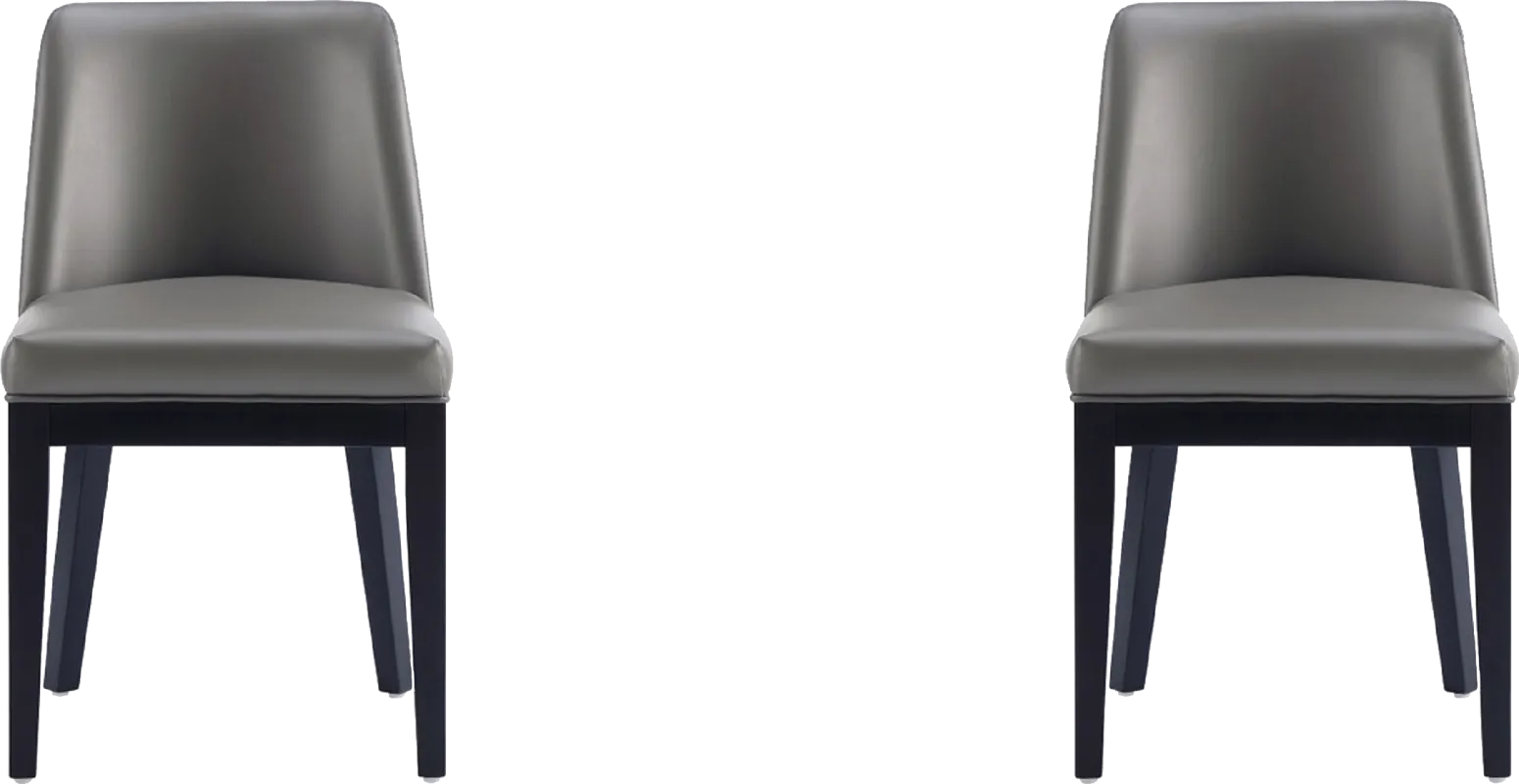 Doescher Gray Dining Chair, Set of 2