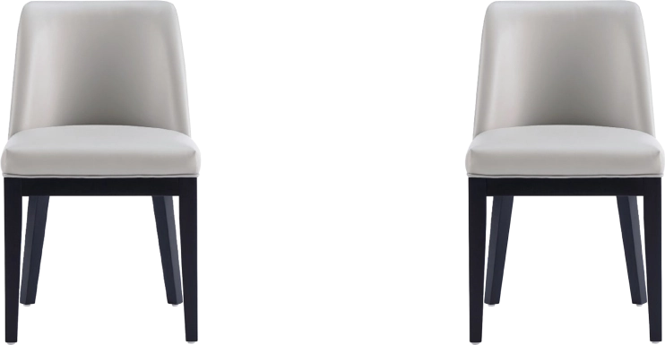 Doescher Light Gray Dining Chair, Set of 2