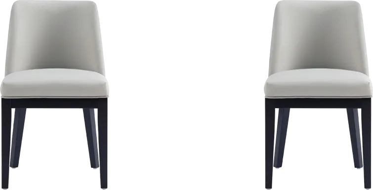 Doescher Stone Gray Dining Chair, Set of 2