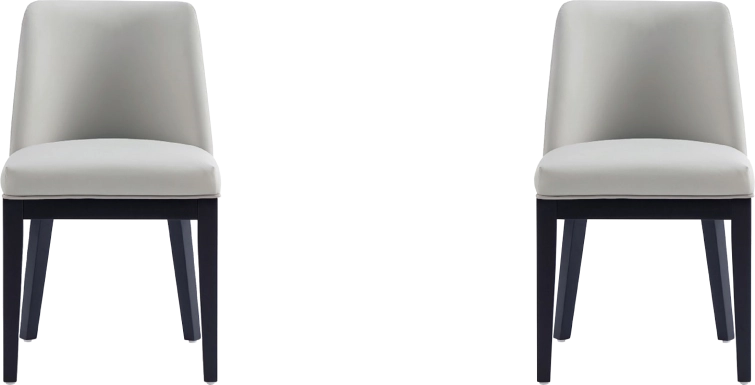 Doescher Stone Gray Dining Chair, Set of 2