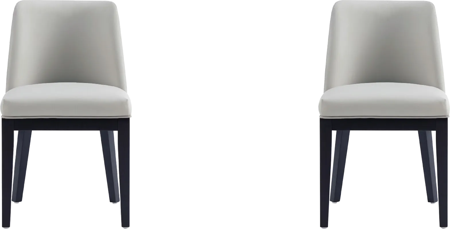 Doescher Stone Gray Dining Chair, Set of 2