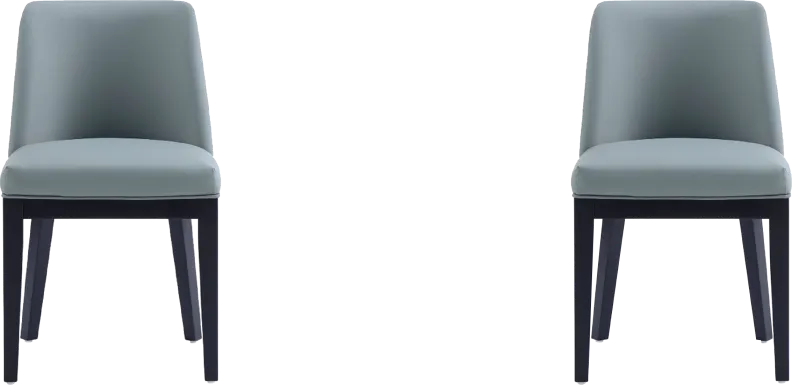 Doescher Pewter Dining Chair, Set of 2