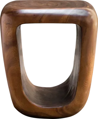 Cholla Brown Accent Table