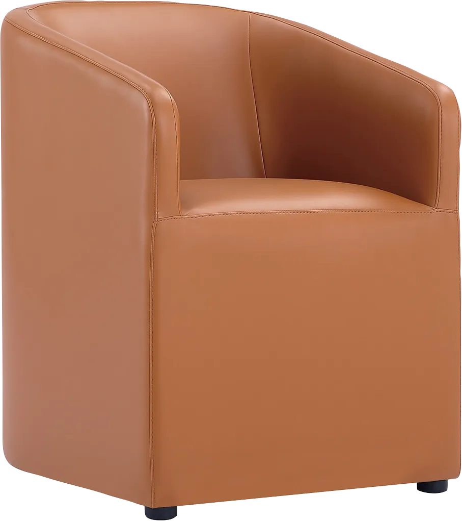 Jonagold III Brown Arm Chair - Image 1