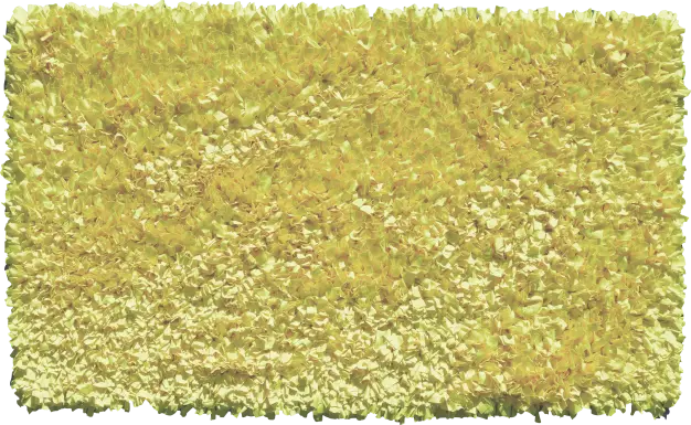 Kids Fuzzy Clouds Dandelion 2'7 x 4'7 Rug