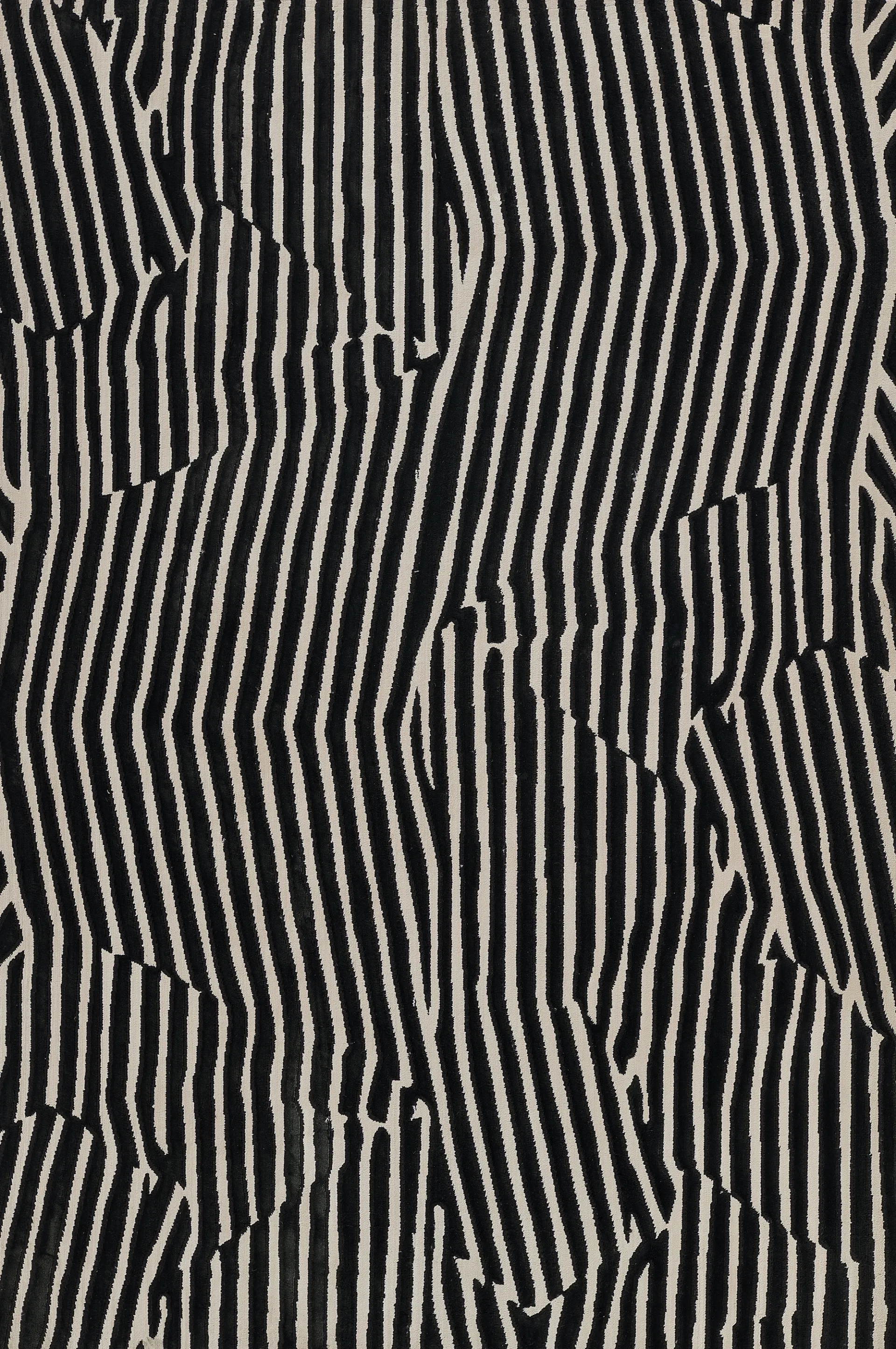 Shadow Black 3'11 x 5'7 Rug - Image 1