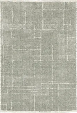 Ecto Park Gray 7'10 x 10'10 Rug