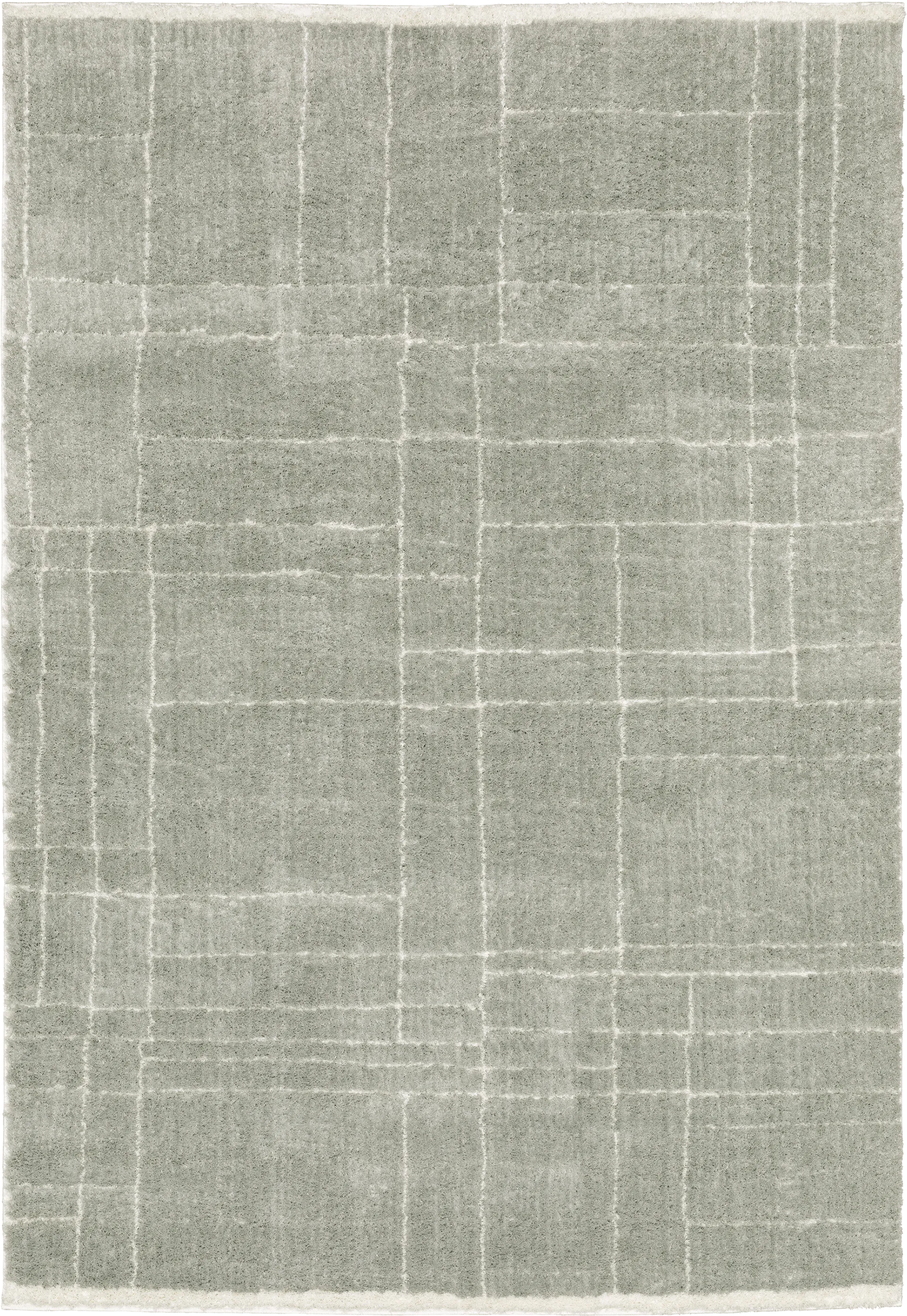 Ecto Park Gray 5'3 x 7'6 Rug - Image 1