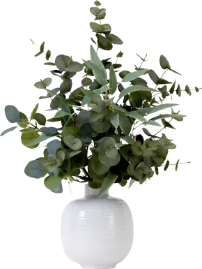 Hurlingame Green Plant with Ceramic Planter