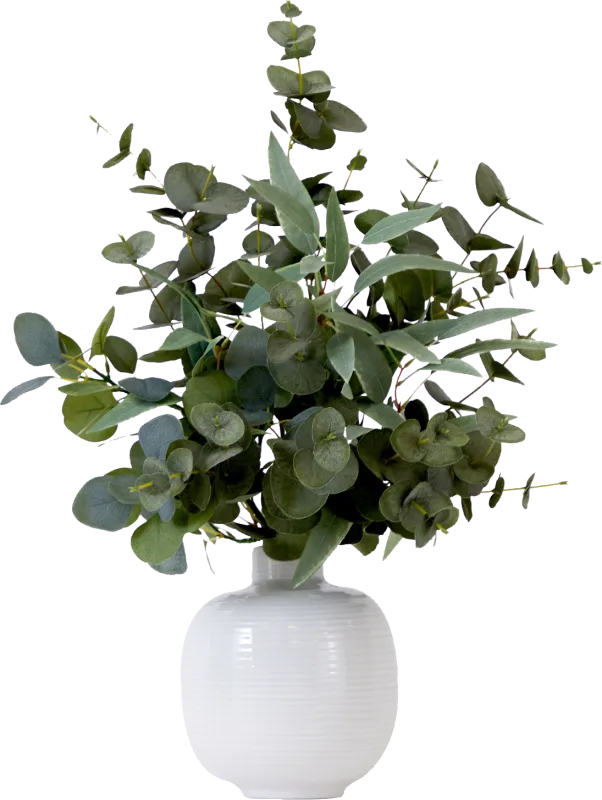Hurlingame Green Plant with Ceramic Planter
