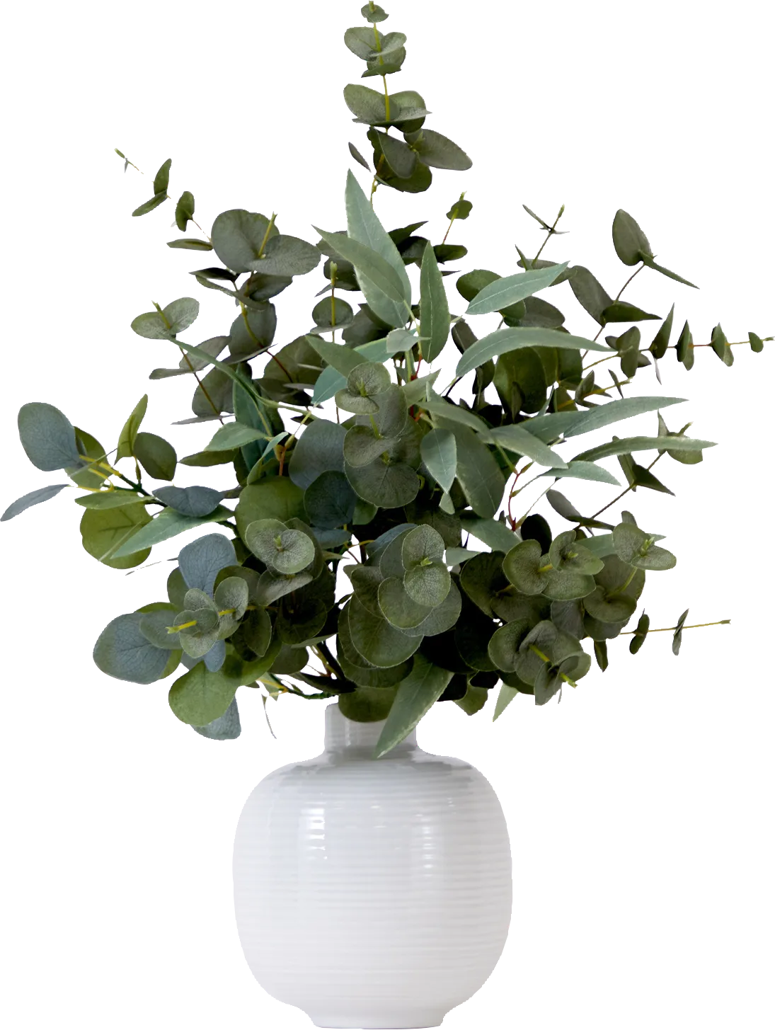Hurlingame Green Plant with Ceramic Planter - Image 1