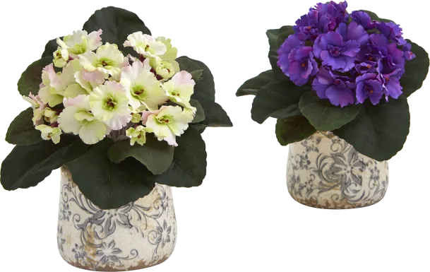 Stambaugh Multi Floral Arrangement with Vase, Set of 2