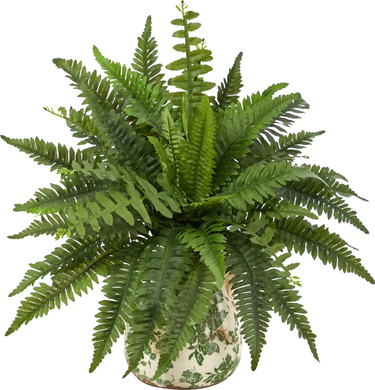 Uccelli Green Plant with Ceramic Planter