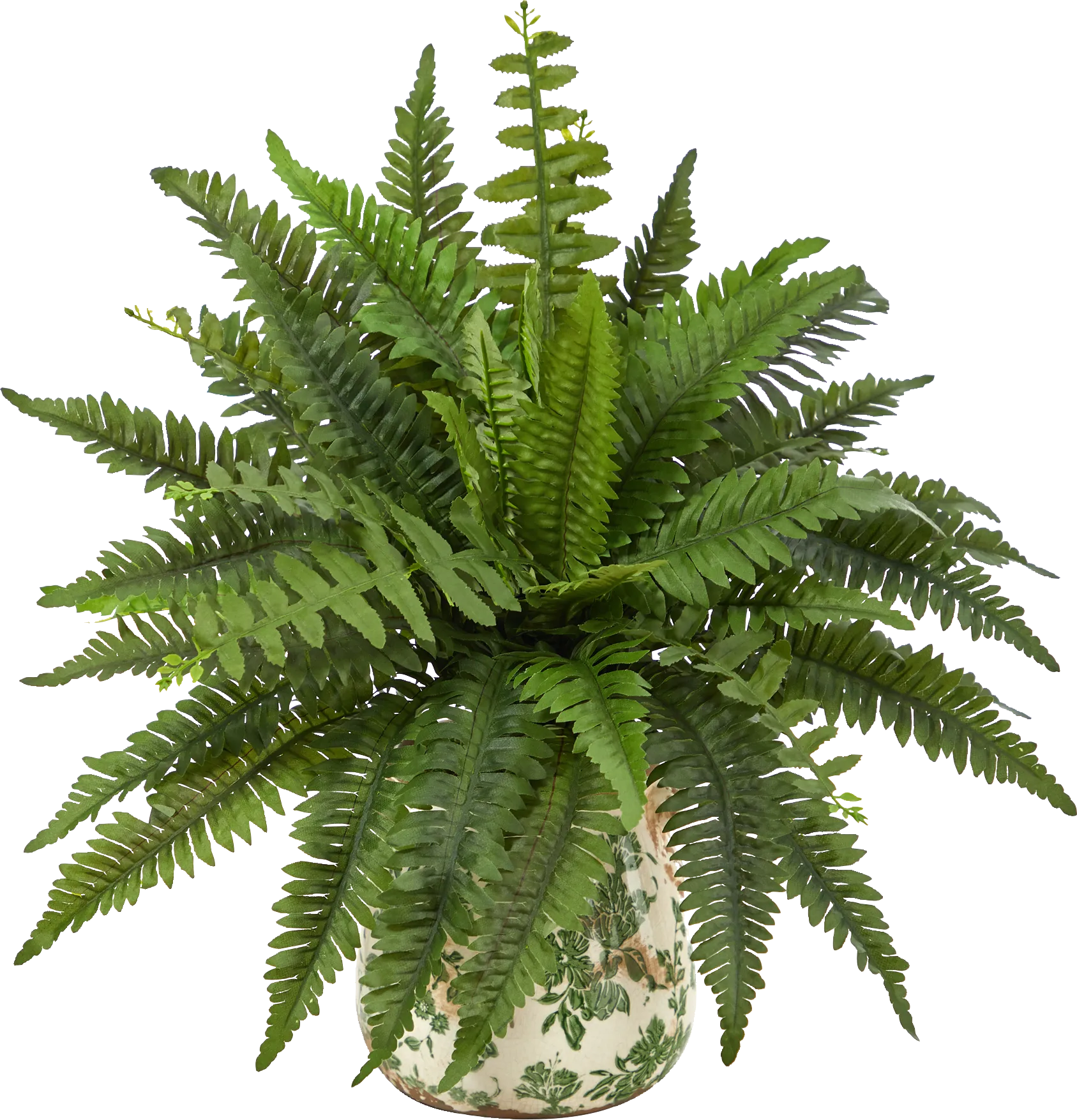 Uccelli Green Plant with Ceramic Planter - Image 1