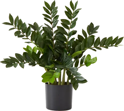Abejorro Green Plant with Planter