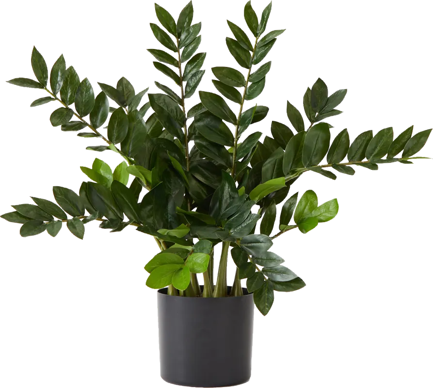 Abejorro Green Plant with Planter